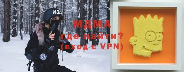 гашик Ельня