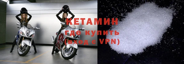 гашик Ельня