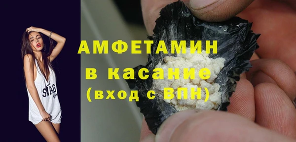 гашик Ельня