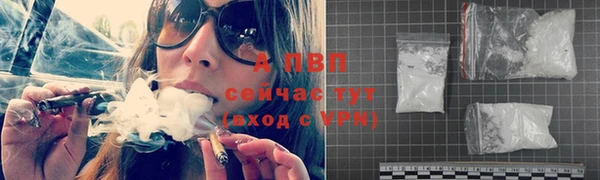 гашик Ельня