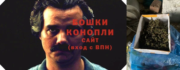 кокс Елизово