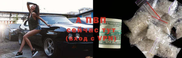 гашик Ельня