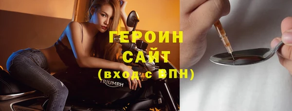 гашик Ельня