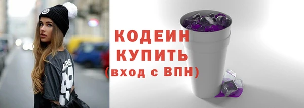 гашик Ельня