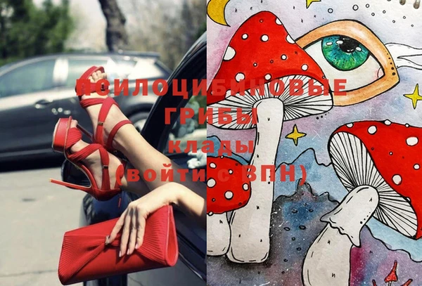Альфа ПВП Елабуга