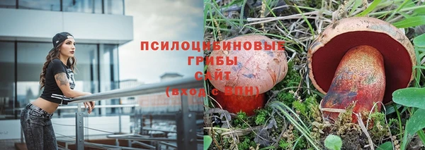 кокс Елизово