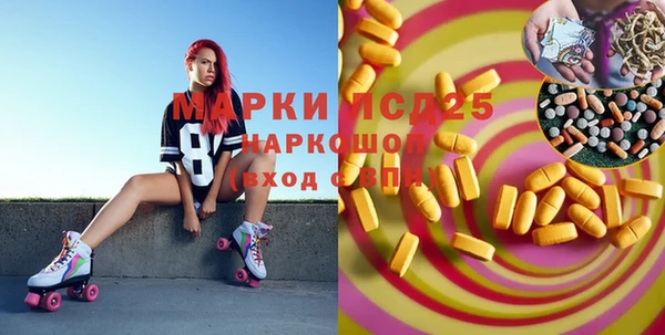 гашик Ельня