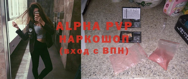 гашик Ельня