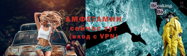 гашик Ельня