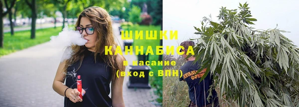 кокс Елизово
