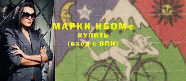 гашик Ельня
