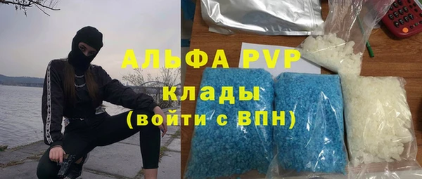 кокс Елизово