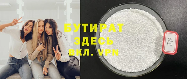 гашик Ельня