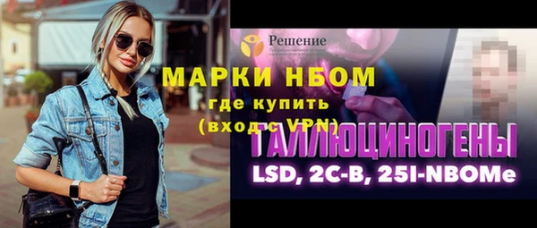 сатива Дмитриев